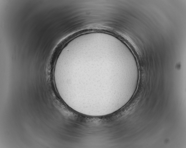 X0000097610971200803211719