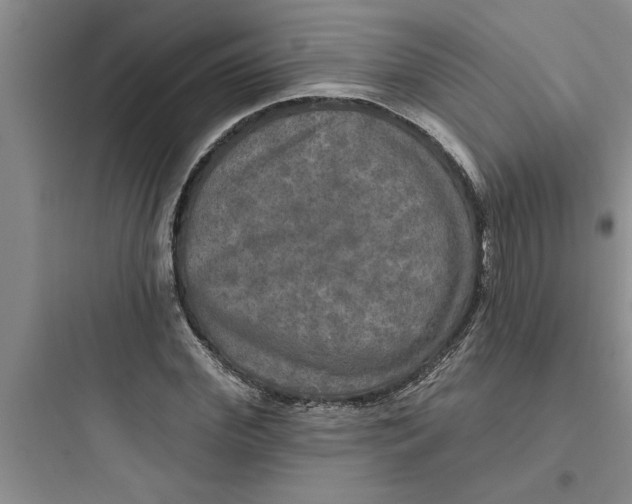 X0000097610972200803211719