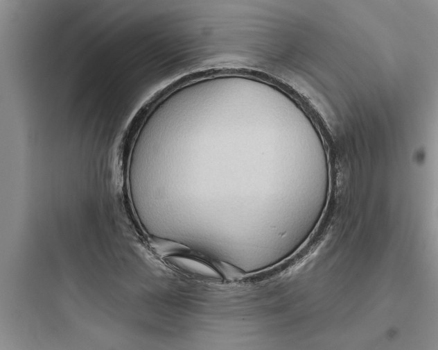 X0000097610973200803211719