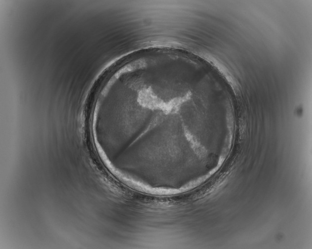 X0000097610975200803211719