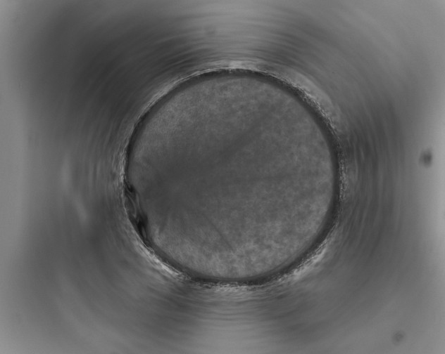 X0000097610977200803211719