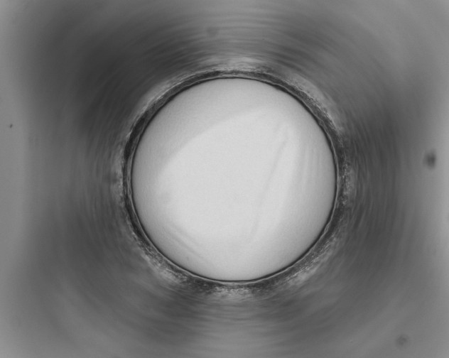 X0000097610978200803211719