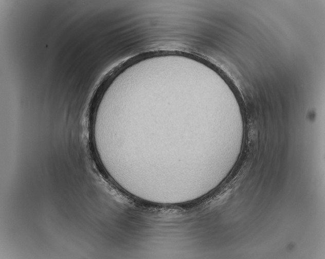 X0000097610979200803211719