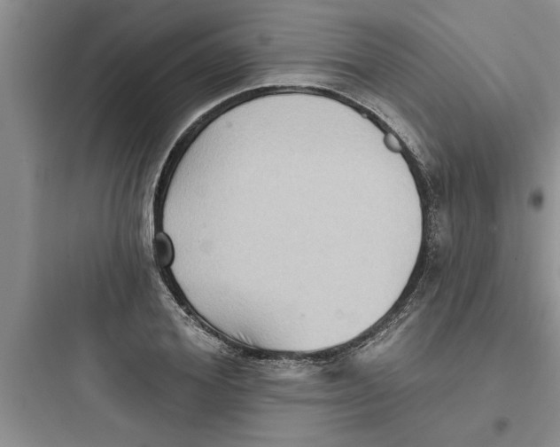 X0000097610980200803211719