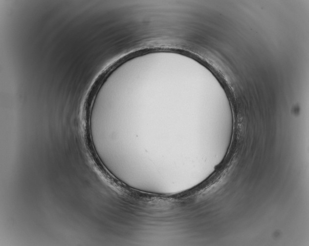 X0000097610981200803211719