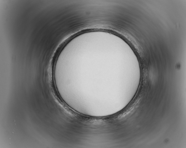 X0000097610982200803211719