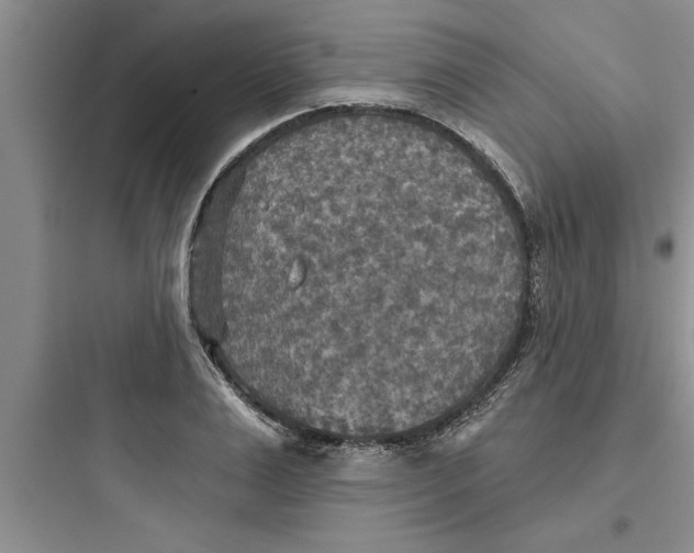 X0000097610983200803211719