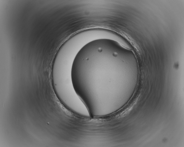 X0000097610985200803211719