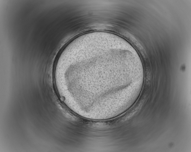 X0000097610986200803211719