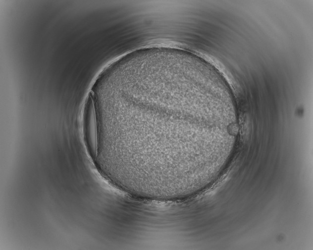 X0000097610987200803211719