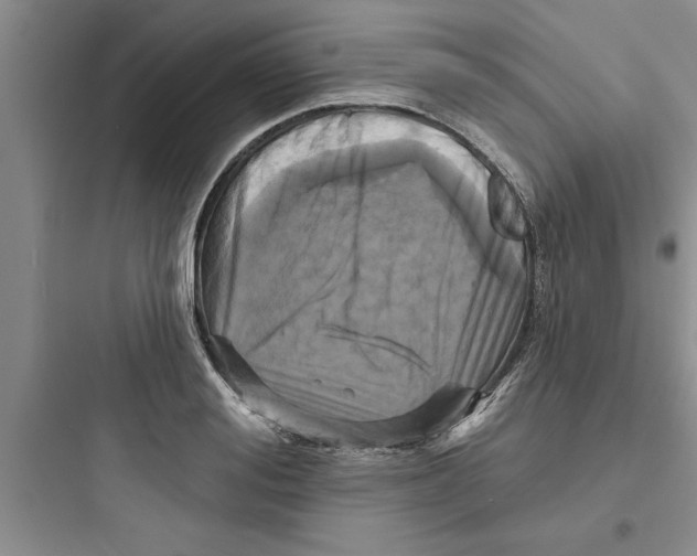 X0000097610988200803211719