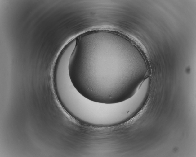 X0000097610989200803211719