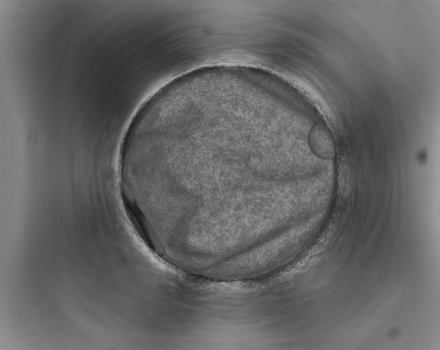 X0000097610990200803211719