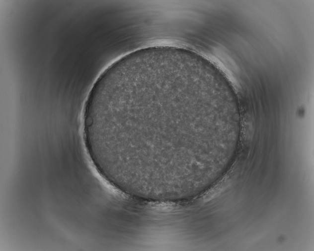 X0000097610991200803211719