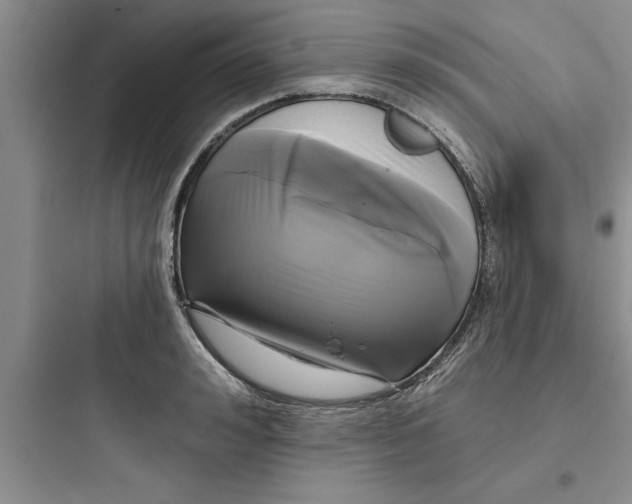 X0000097610992200803211719