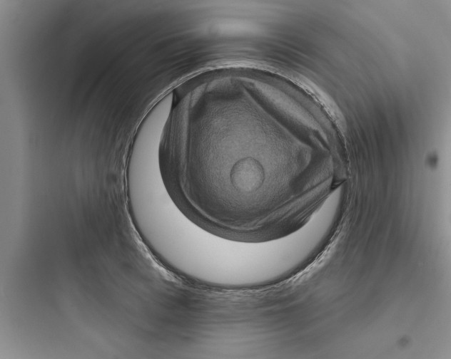 X0000097610993200803211719