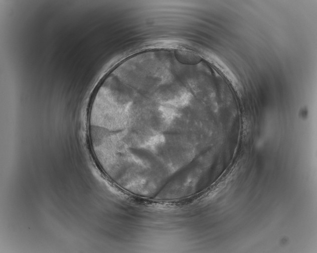 X0000097610994200803211719