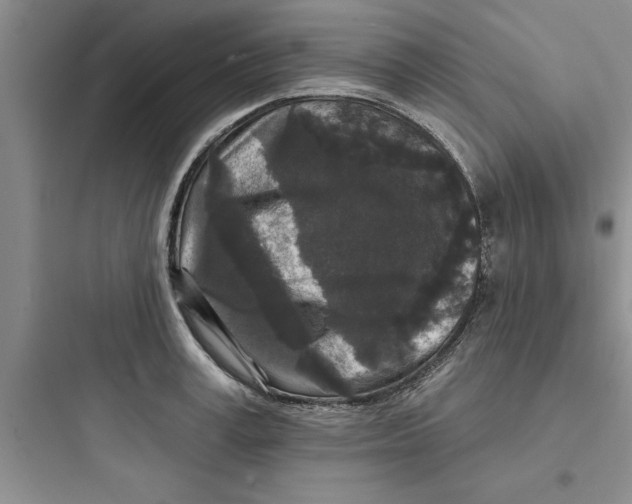 X0000097610995200803211719