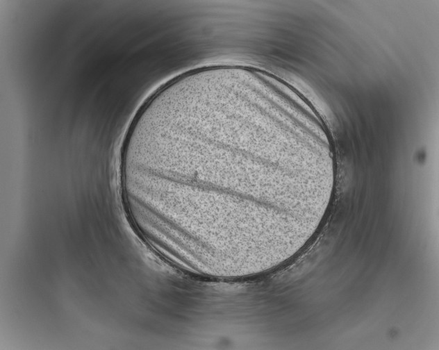 X0000097610996200803211719