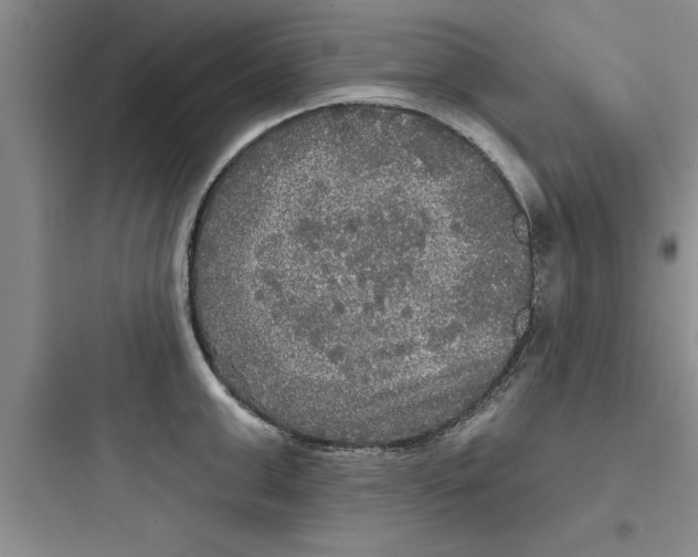 X0000097610999200803211719