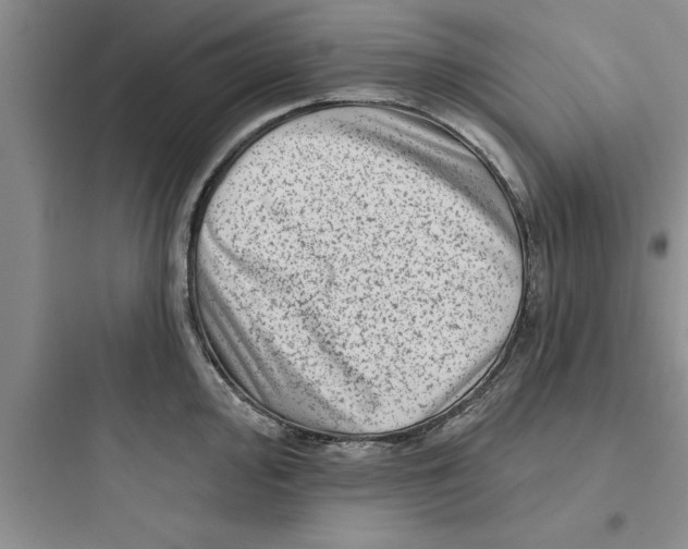 X0000097611000200803211719