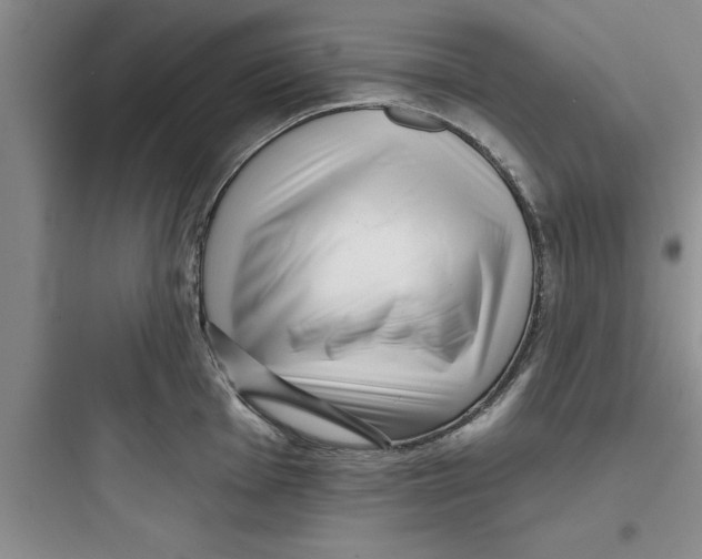 X0000097611001200803211719