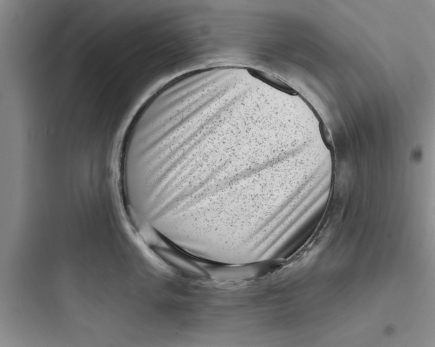 X0000097611005200803211719