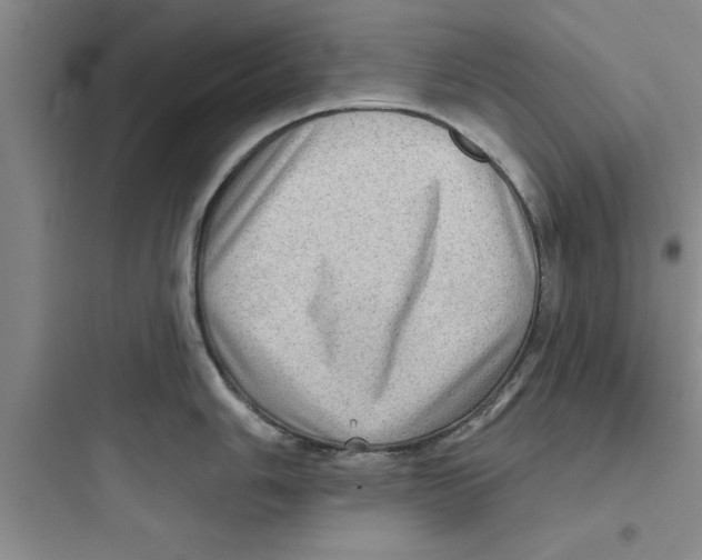 X0000097611006200803211719