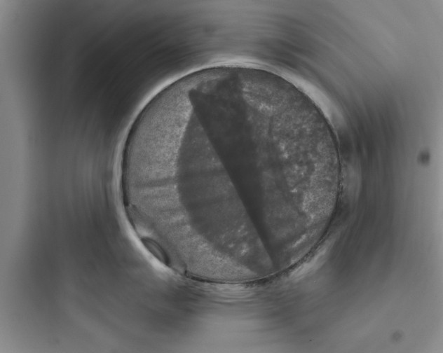 X0000097611007200803211719