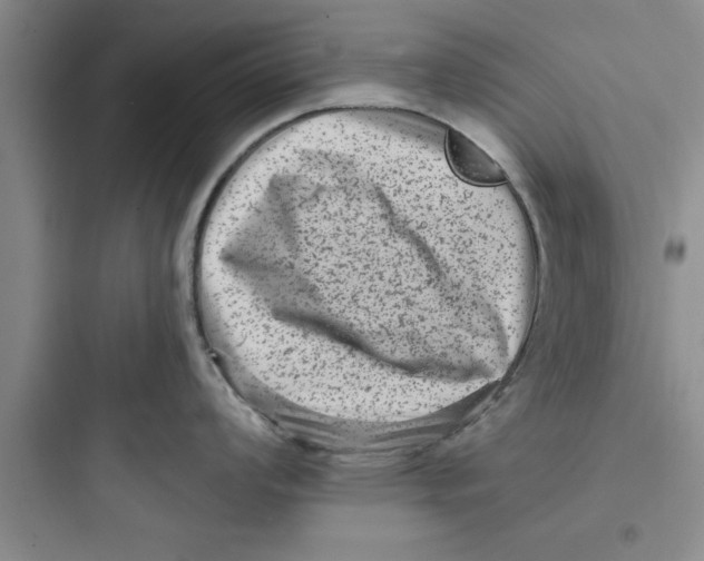 X0000097611008200803211719