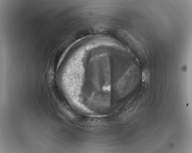 X0000097611011200803211718