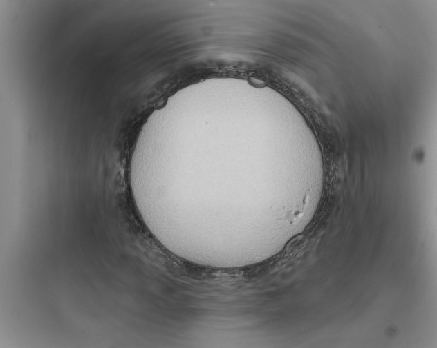 X0000097611013200803211718