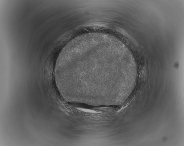 X0000097611014200803211718