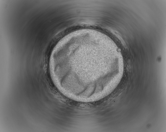 X0000097611015200803211718