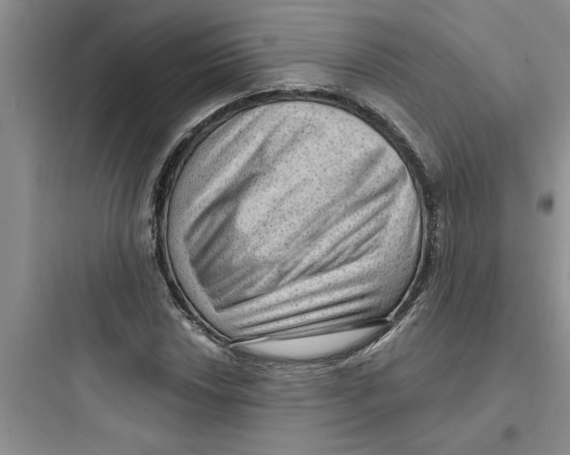 X0000097611018200803211718