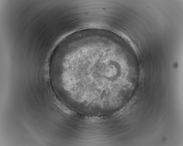 X0000097611019200803211718