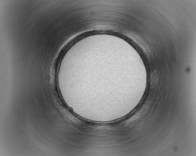 X0000097611021200803211718