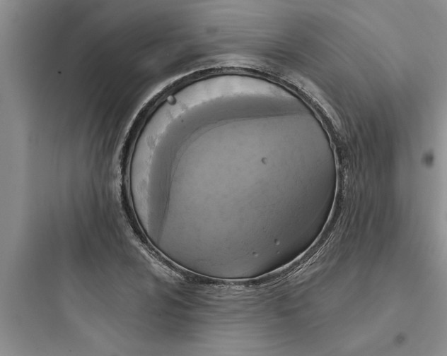 X0000097611024200803211718