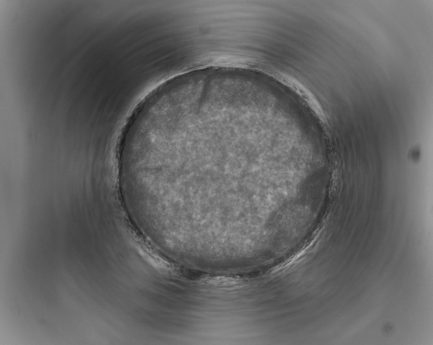 X0000097611027200803211718