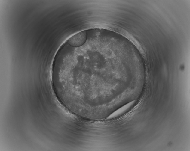 X0000097611028200803211718