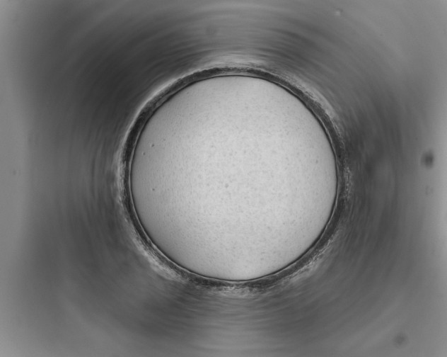 X0000097611029200803211718