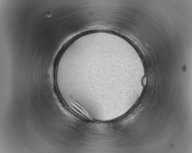 X0000097611030200803211718