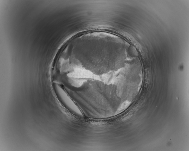 X0000097611031200803211718