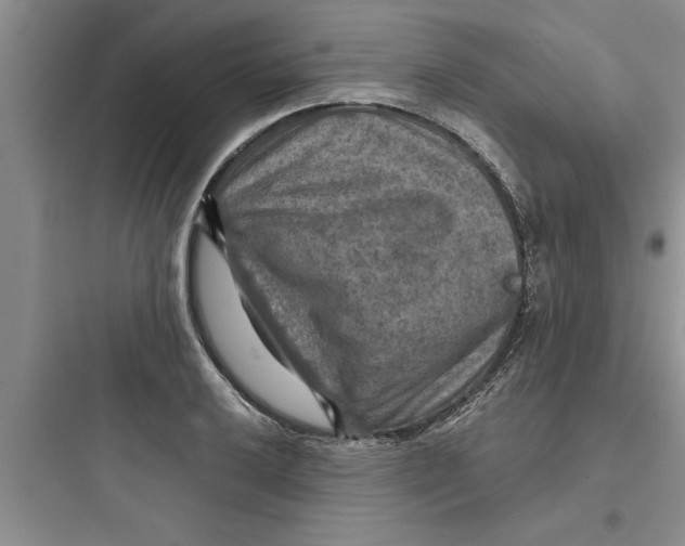 X0000097611032200803211718