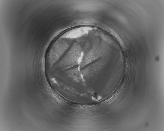 X0000097611035200803211718