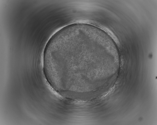 X0000097611036200803211718