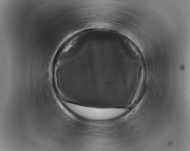 X0000097611037200803211718