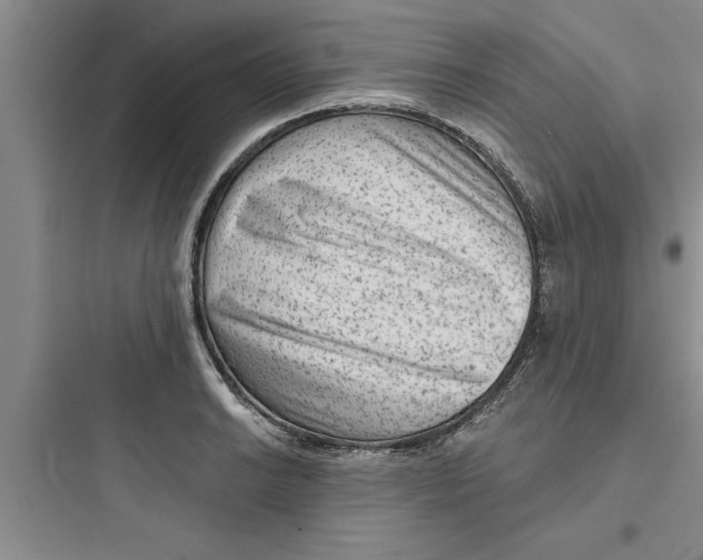 X0000097611038200803211718