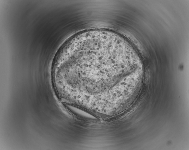 X0000097611039200803211718