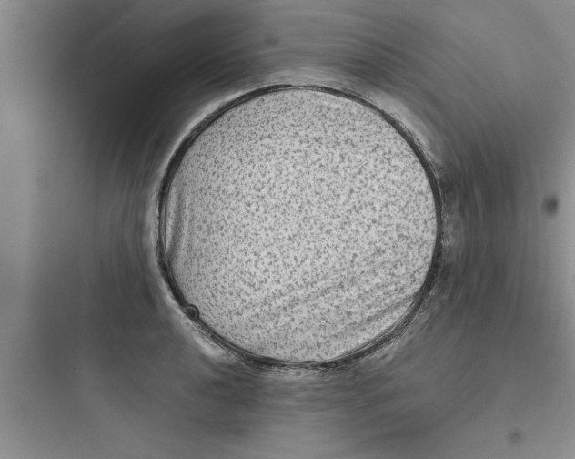 X0000097611040200803211718